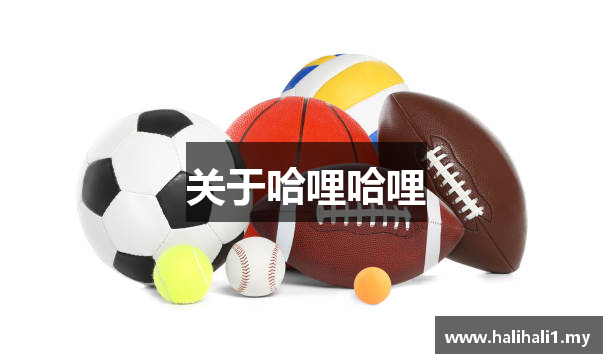 关于哈哩哈哩